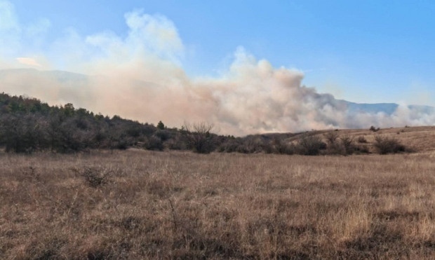 Голям пожар между кюстендилски села Катрище и Горна Гращица