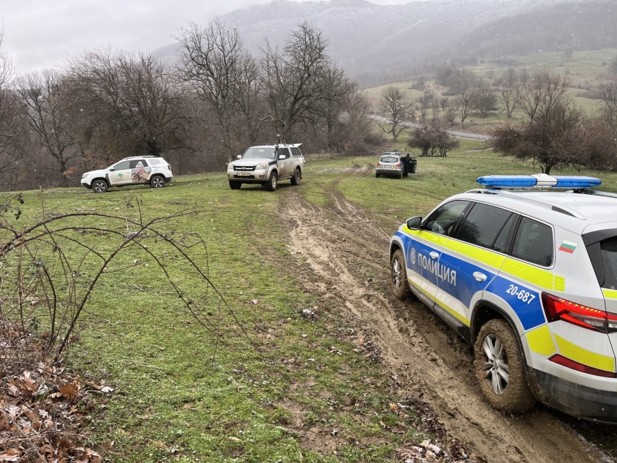 Тежък удар по природозащитата: Отровиха седем лешояда край Котел