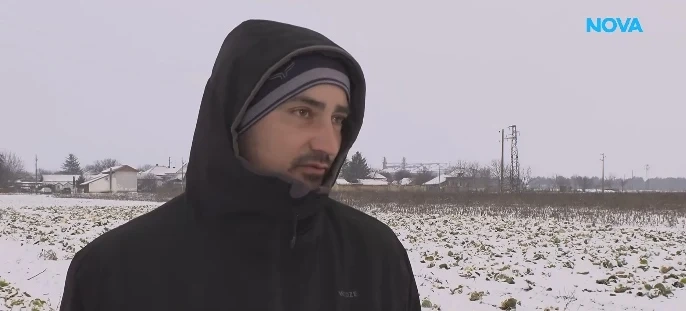 Абсурд в Кнежа: Земеделец заравя 50 тона зеле заради ниски изкупни цени