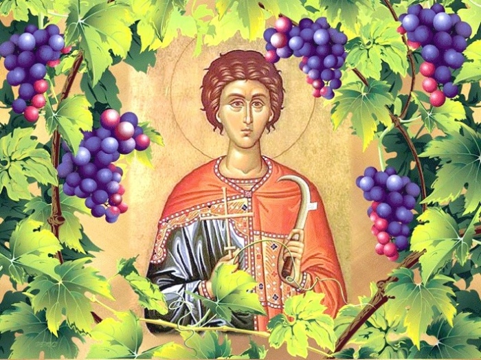 Честит празник! Почитаме св. Трифон