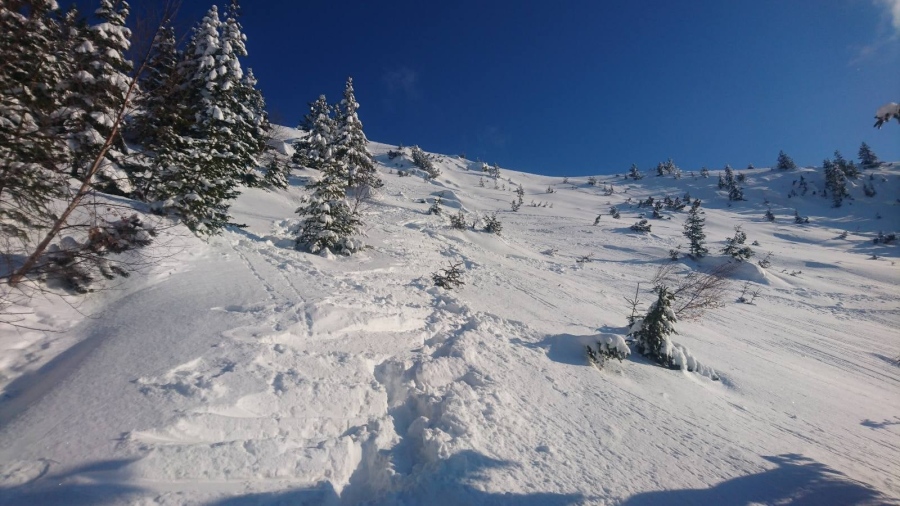 ПСС осигурява охрана на ски зона „Картала“ през уикендите