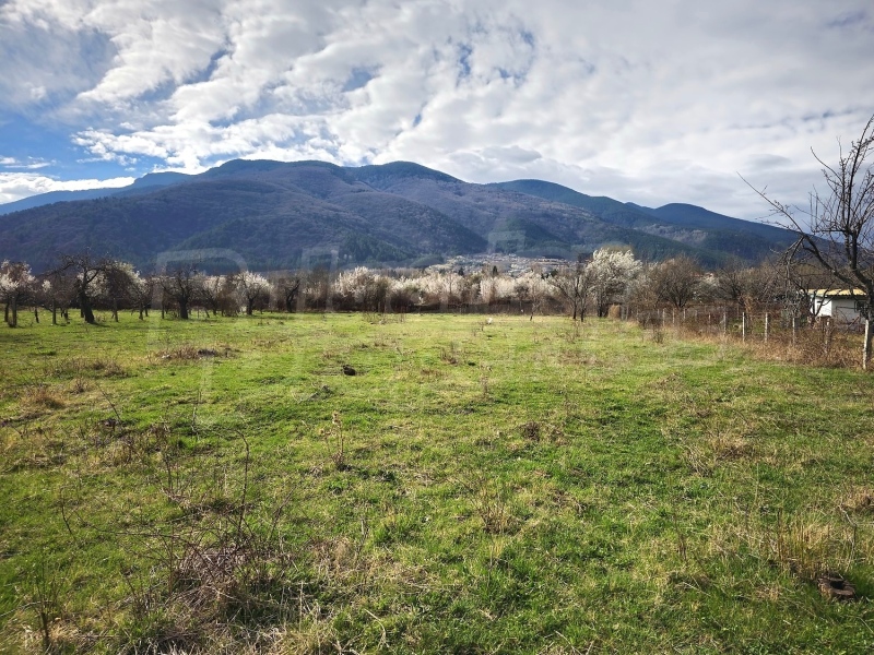 Директорът на ОДМВР-Перник старши комисар Милчо Милчов за имотните измами в региона: 40 са били задържани, а 7 са основните лица