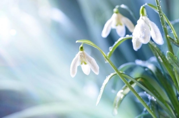 Слънчево и високи температури за 14 февруари