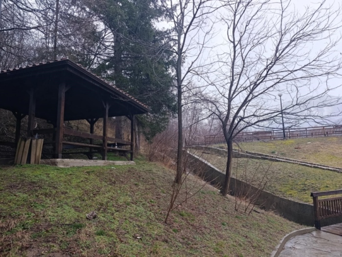 Маргарита Лазова: Гледам \