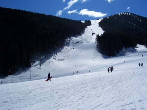 След удар в дърво: Планината взе поредна жертва в ски зоната над Банско