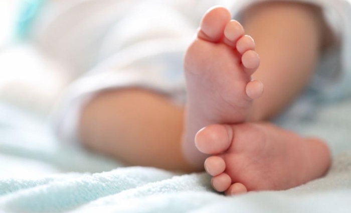 Нов живот: С общинската инвитро програма във Варна през миналата година са родени 80 бебета