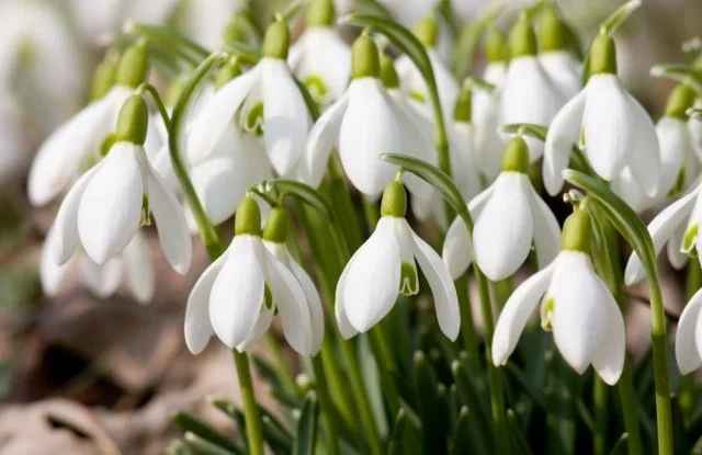 Сутрешни мъгли и температури до 16° в сряда