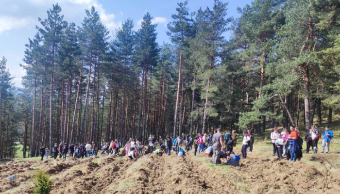 Горските стопанства в Самоков и Ихтиман с редица мероприятия в Седмицата на гората