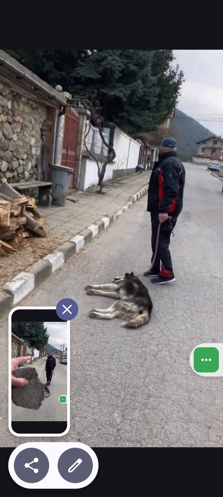 80-годишен мъж е задържан за влаченото хъски в Овчарци, предал е газовия си пистолет (ОБНОВЕНА)