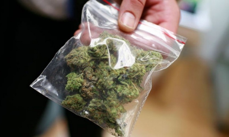 Полицаи оставиха 22-годишен кюстендилец без канабис