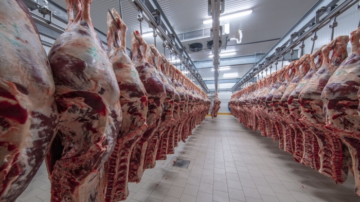 Тонове опасно месо на пазара: Разкриха незаконни кланици в Кърджалийско