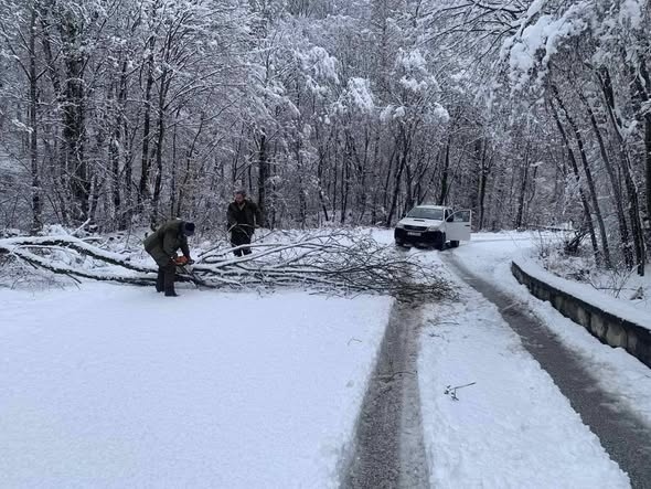 Паднали клони затвориха пътя към Картала, горски служители реагираха бързо