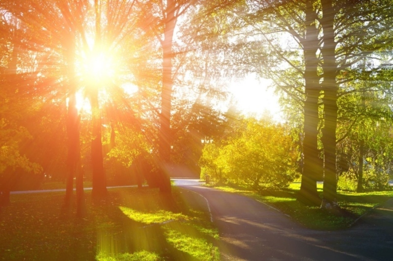 Днес се радваме на слънчево и топло време до 25 градуса, следобед започва заоблачаване