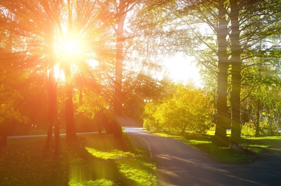 Днес се радваме на слънчево и топло време до 25 градуса, следобед започва заоблачаване