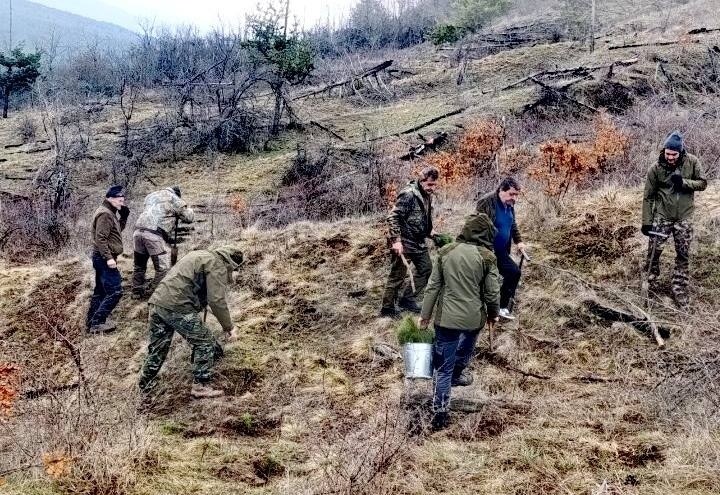 Служители на ДГС Трън отбелязаха „Седмицата на гората 2026“ със залесяване и почит към лесовъд