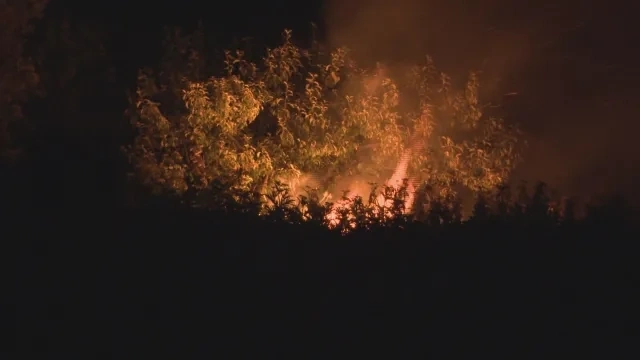 Чудо край Костинброд: Пожар изпепели всичко, но параклис оцеля сред огъня