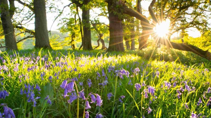 Градусите се покачват до 21° в сряда