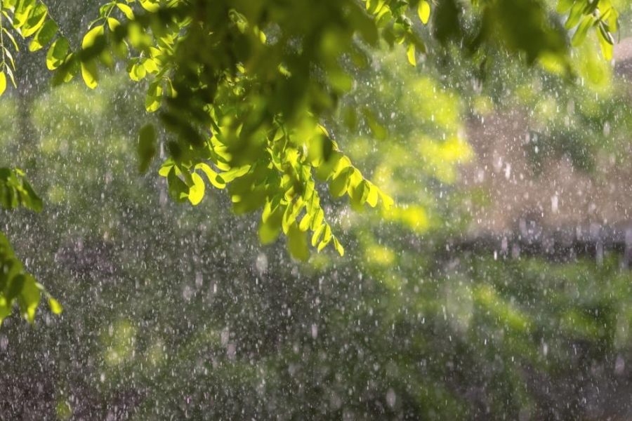 Разкъсана облачност с валежи, температурите до 22 градуса