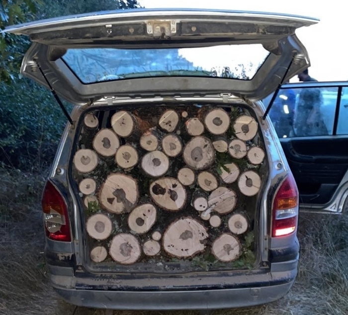 Полицията в Банско спря незаконен превоз на дървесина, шофьор е задържан