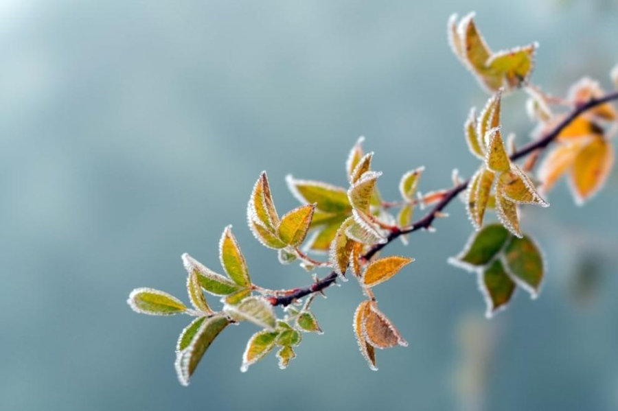 Внимание, слана: Жълт код за отрицателни температури в 7 области
