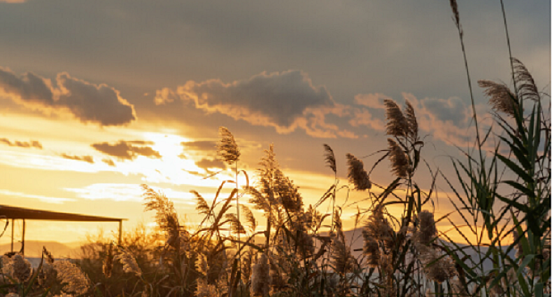 Ветровит петък с температури до 21°
