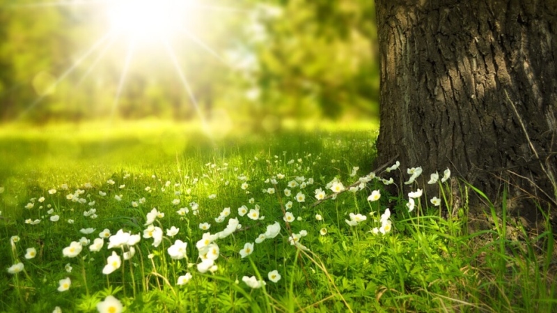 Слънчево време и температури до 25°