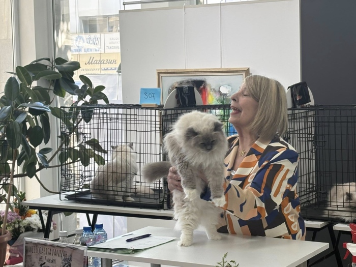 Екзотични и редки породи котки привличат посетители в Благоевград