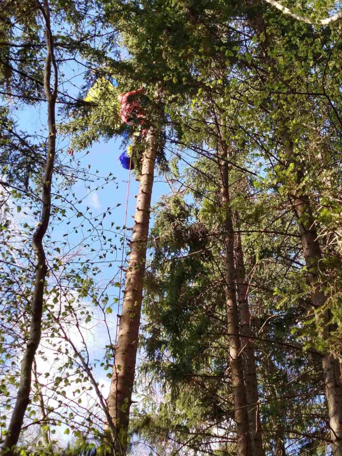 Успешна акция: Планински спасители свалиха заплетен парапланерист от дърво край Кюстендил