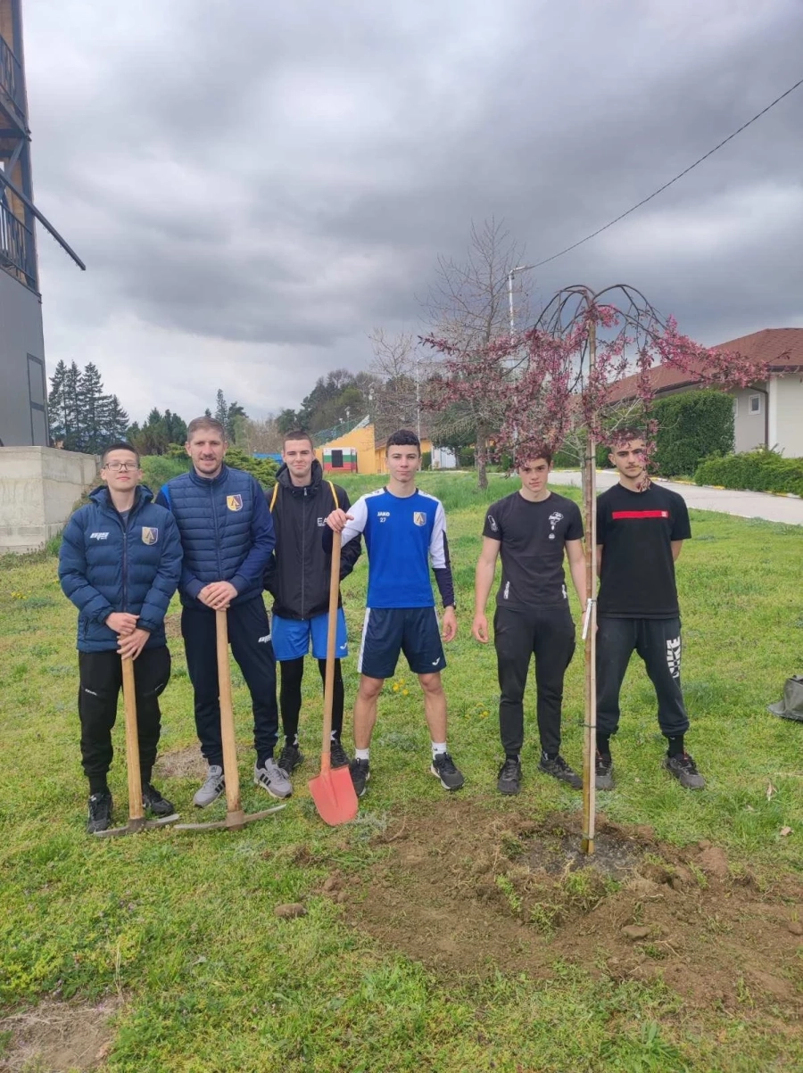 Японски вишни и череши разцъфват в Долна баня