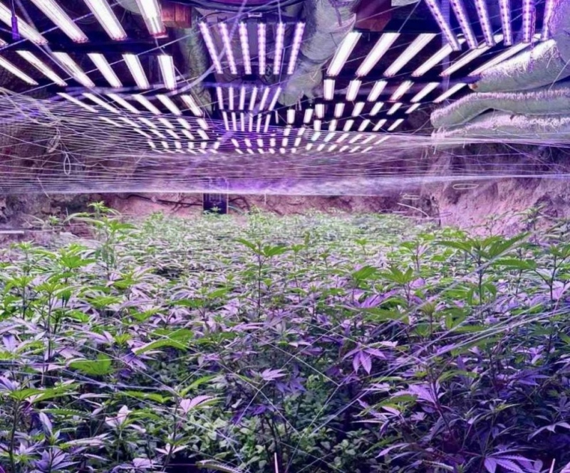 ГДБОП разкри подземна наркооранжерия за канабис в галерийна мина край Кюстендил 