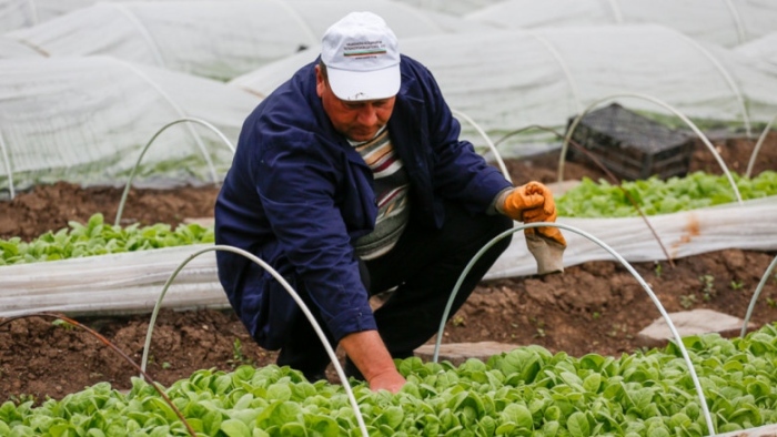 Със заповед на земеделския министър срокът за това се удължава