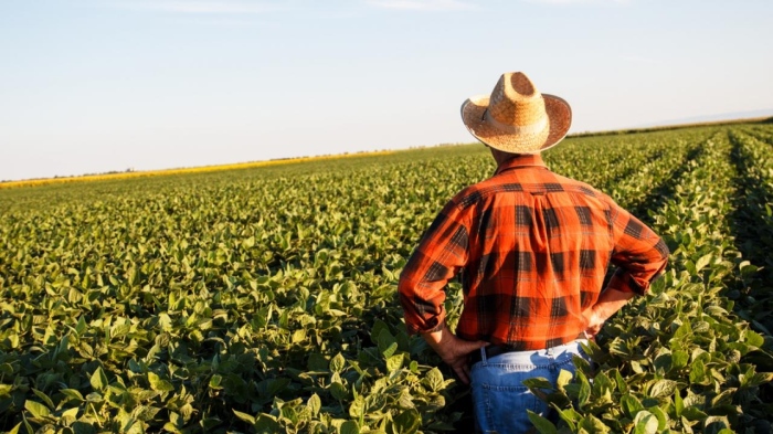 Криза в земеделието: Всеки четвърти фермер се отказва