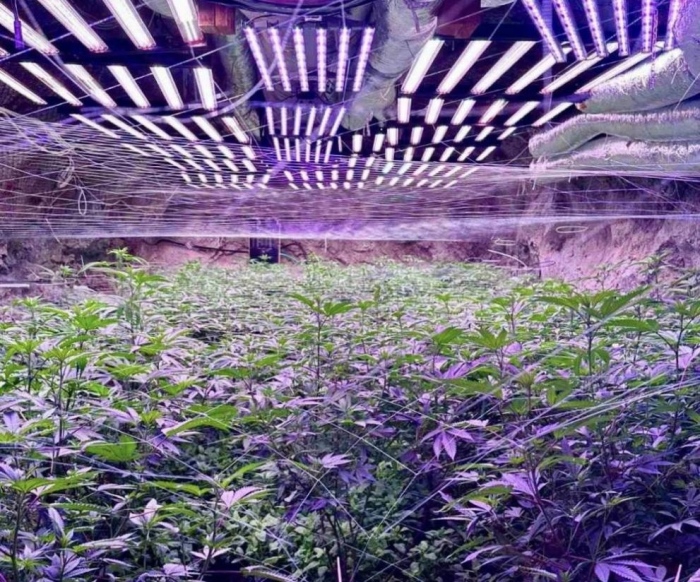 Мащабна акция: В галериите на бивша мина край Кюстендил се крие и наркофабрика