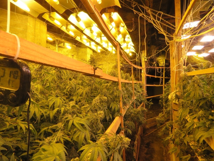 Операцията продължава: Истински подземен наркоград е покрит в галериите на оловно-цинкова мина край Кюстендил