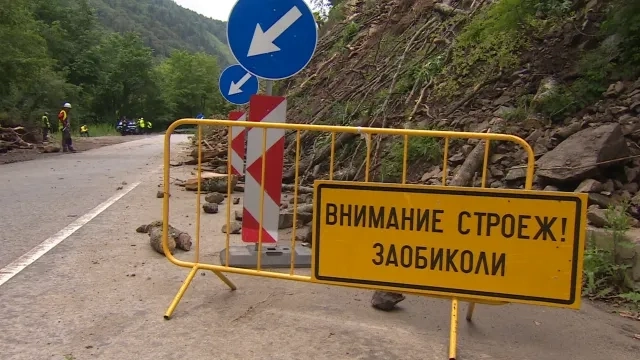 „Пътят на изненадите“: Колко още коли трябва да бъдат смазани между София и Самоков?