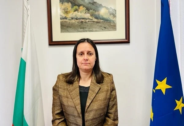 Шишков махна началничката на ДНСК