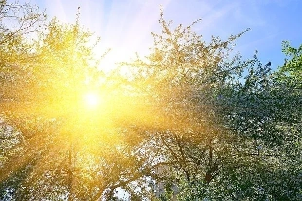 Слънчев петък с температури до 24°, през уикенда идват валежи и гръмотевици