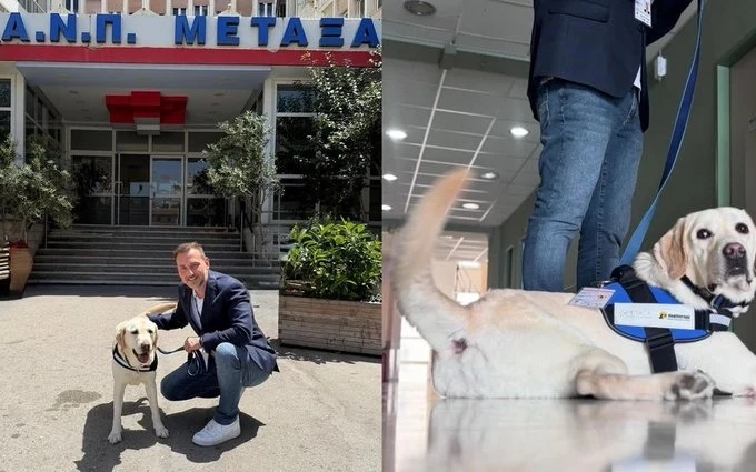 „Компания с опашка“: Куче терапевт помага на онкоболни в гръцка болница