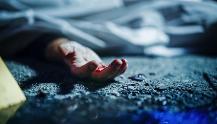 Мечка нападна и уби човек на Витоша, откриха обезобразеното му тяло (ОБНОВЕНО)