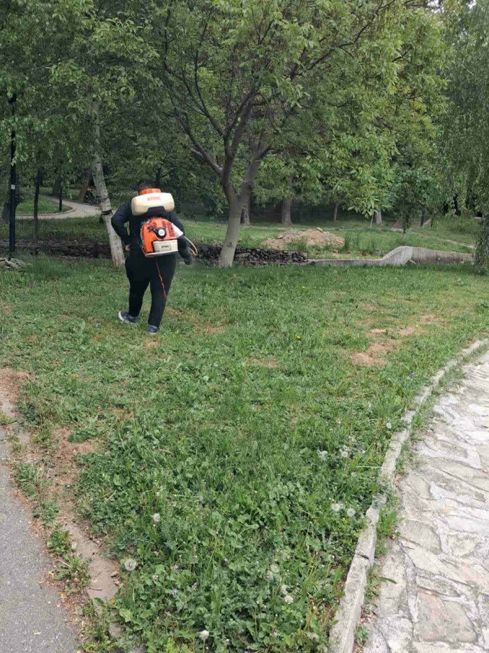 Кърлежи има навсякъде!“: Граждани скочиха срещу пръскането в Дупница