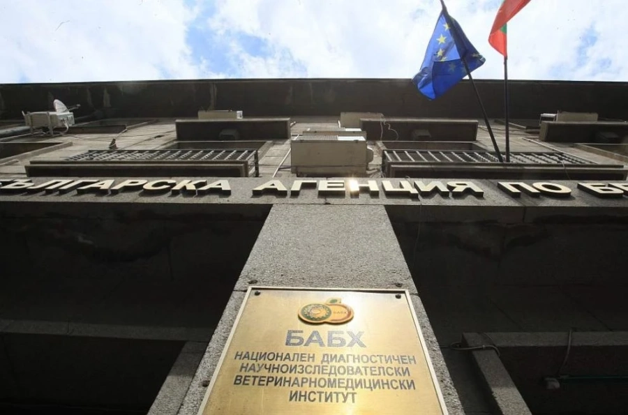 Премиерът Радев освобождава от длъжност шефа на БАБХ?