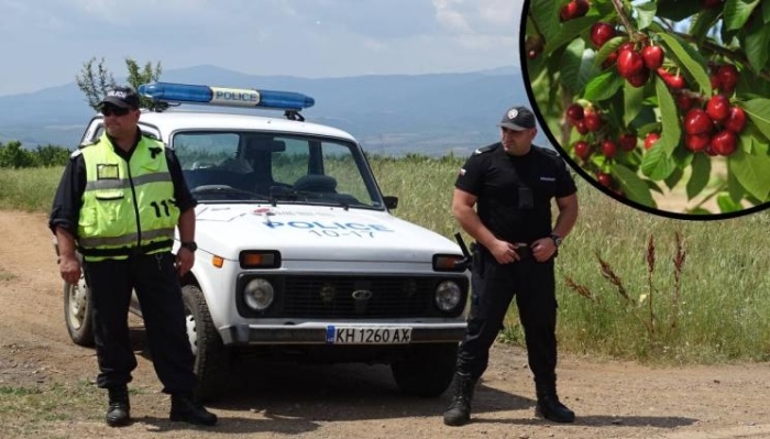 Полиция, барети и граничари бранят черешите Кюстендилско
