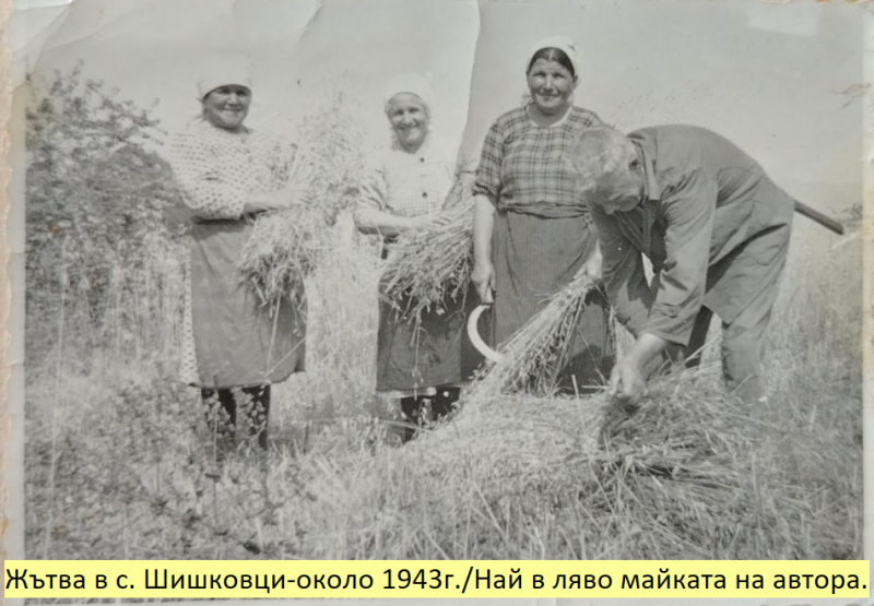Урок по човечност от миналото! Пабиръкът на череши, ябълки и грозде изхранвал десетки бедни семейства в Кюстендилско