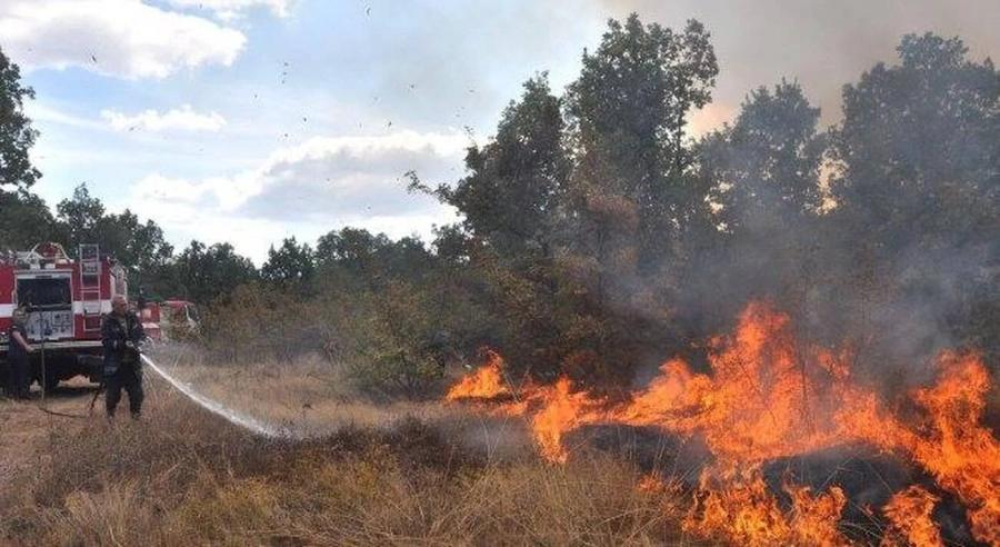Пожар изпепели 6 декара сухи треви край Овчарци – огнеборци предотвратиха щети