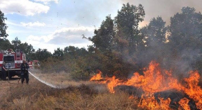 Пожар изпепели 6 декара сухи треви край Овчарци – огнеборци предотвратиха щети