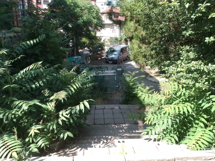Стълби на ул. „Трети гвардейски полк“ в Дупница станаха невидими от бурени