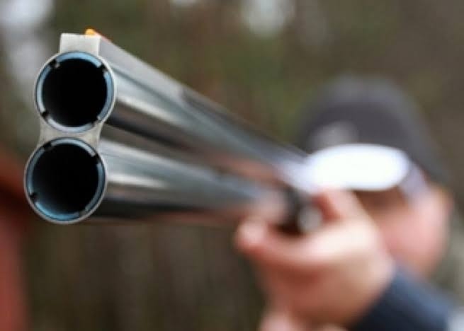 Иззеха ловна пушка и 20 боеприпаса от къща на благоевградчанка в Рила