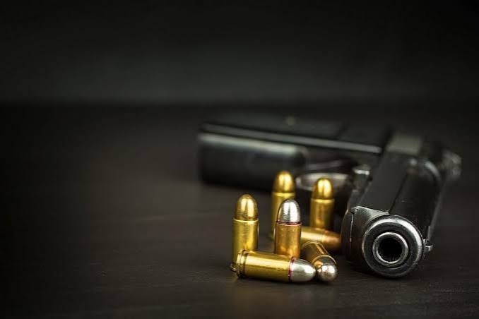 Докладваха на полицията за газовия пистолет и боеприпасите на 73-годишен дядо в Копиловци