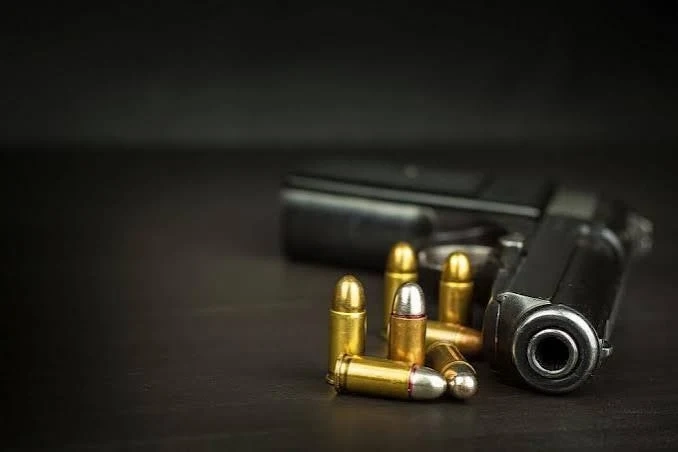 Докладваха на полицията за газовия пистолет и боеприпасите на 73-годишен дядо в Копиловци