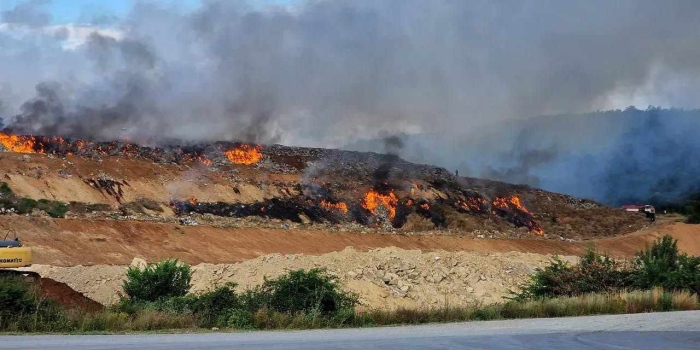 Около 10 декара площ са засегнати при пожара край петричкото село Ръждак